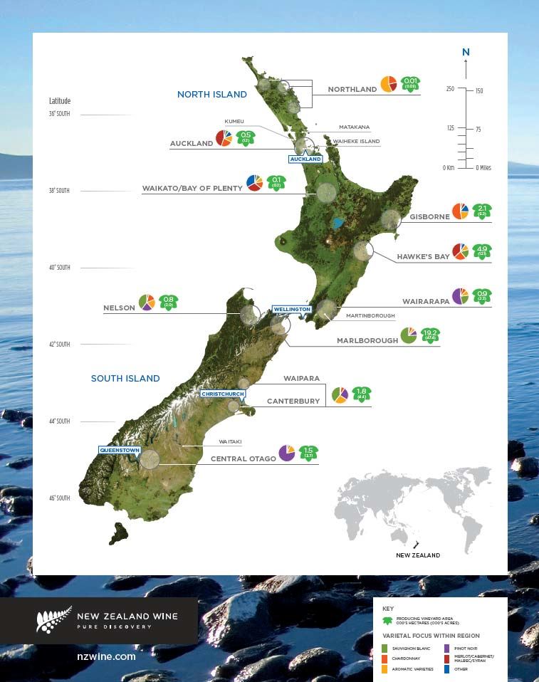 Visiting Cloudy Bay - an icon of Marlborough Sauvignon Blanc - Around the  World in 80 Harvests - New Zealand, Notes from the Road