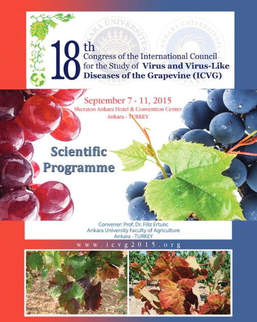 Grapevine Red Blotch-Associated Virus - North Central Integrated Pest  Management Center