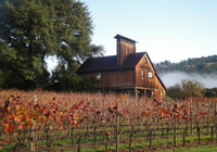 Charles Heintz Vineyard