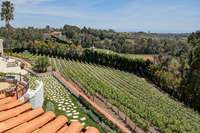 Dolin Malibu Estate Vineyards