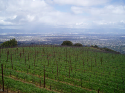 Mount Eden Vineyards