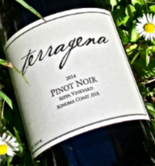 Terragena Vineyard