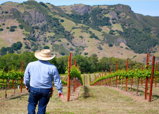 Valdez Family Winery