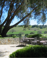 Rusack Vineyards