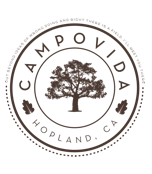 Campovida