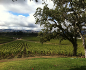 Scribe Winery