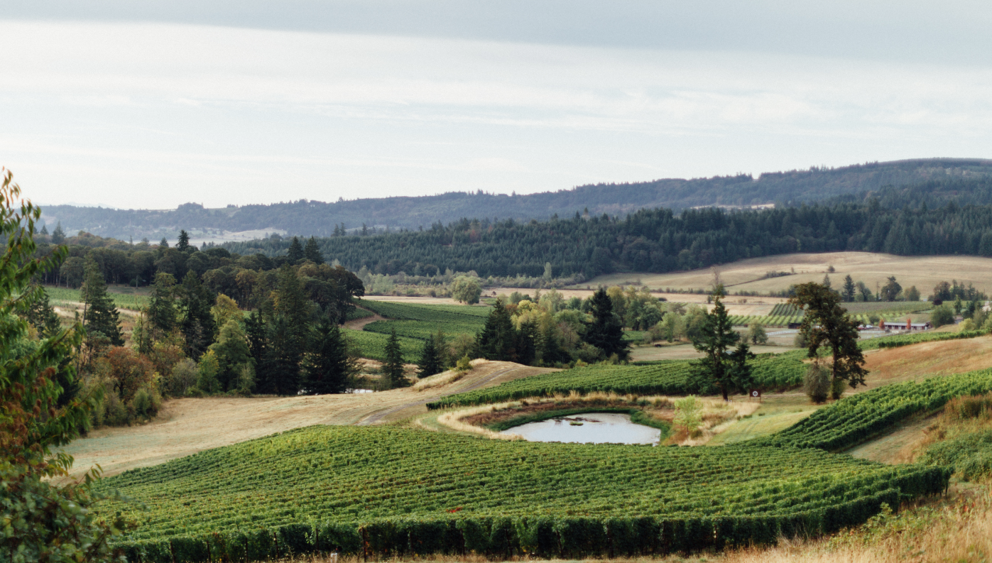 Zena Crown Vineyard